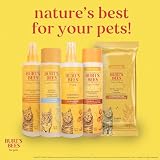 BURT'S BEES FOR PETS Kitten Tearless Shampoo with Buttermilk 10 Fl Oz view 12
