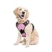 Rabbitgoo Dog Harness No-Pull Pet Harness Adjustable Outdoor Pet Vest Reflective Vest Harness for Large Dogs (Pink, L)