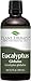 Plant Therapy Eucalyptus Globulus Essential Oil 100 mL (3.3 oz) for Diffuser, Skin, Hair, Aromatherapy DIYs, and Clear Breathing, 100% Pure, Undiluted, Therapeutic Grade