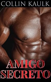 Livro Amigo Secreto: Conto Erótico Gay (Meu Segredo Gay)