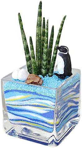Amazon サンスベリア カラーサンド植え ペンギンフィギュア付き 観葉植物 オンライン通販