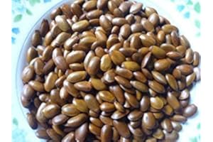 Germination Seeds: 100 Seeds Soursop/Graviola/Annona Muata Tropical Fruit - Fresh : Seeds in The Packet