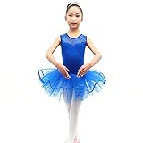 TFJH Kids Little Girls' Ballet Flower Lace Sleeveless Dress Leotard Tutus