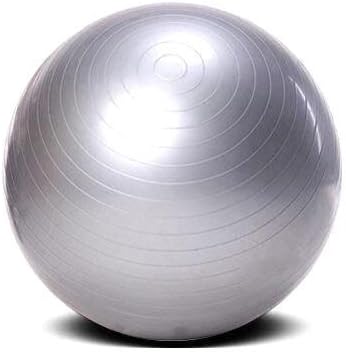 Tiger Tri 65cm Gym Ball - Balón de ejercicio, color plateado ...