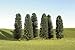 Bachmann Trains inches 4 inches Cedar Trees 9 Per Box