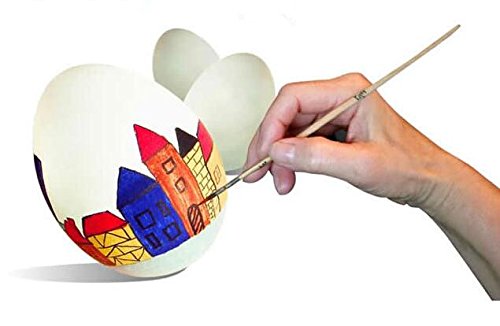 SallyFashion Wooden Fake Eggs 7 Pieces 3 Color