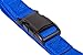 GOGO Pet Products 5/8-Inch Martingale Dog Collar, Small, Blue