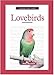 A New Owner's Guide to Lovebirds by Nikki Moustaki