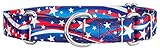 Country Brook Design - Star Spangled Martingale Dog Collar - Medium