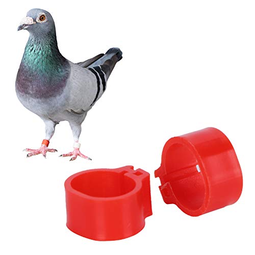 Jenngaoo 200 Stück Geflügel FuÃring, roter Kunststoff Identifizieren Sie FuÃclip Ring Training Tool für Geflügel Hühner Enten Gans Vogel Tauben(10mm) – Bild 6