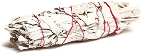 Large California White Sage Smudge Sticks (Pack of 2)