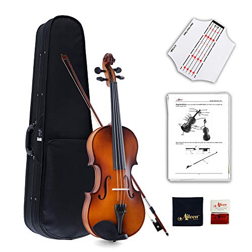 Winzz-Violine-Voller-Gre-44-Ausstattung-Massivholz-Schler-Erwachsene-Anfnger-Violinenset-Braun