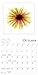 Flower Spirits 2016 Wall Calendar