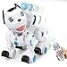 Toch RC Robot Dog, Cute Pets Smart Intelligent Walk Sing Dance Dog for Kids Toddler Birthday Gift