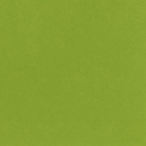 Bazzill Basics T5-5153 Card Shoppe Heavy Weight Cardstock, Easter Grass, 25 Sheet Pack, 12 x 12 Inches