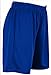 Nike Womens Equalizer Soccer Shorts (Small, Royal)