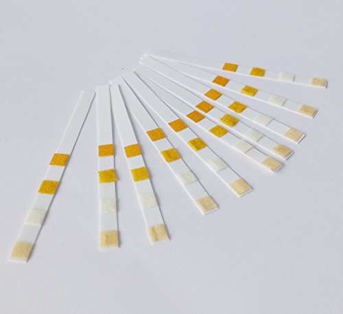 50 Teststreifen 4 in 1 für Chlor, Brom, pH + Alkalinität von well2wellness® – Bild 4