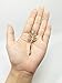 QTMY 4 PCS Metal Feather Leaves Hairpin Hair Clips Hair Accessories