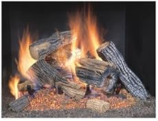 Best Gas Fireplace Inserts Reviews 2017 : Direct Vent Or Ventless? - Fuel Options: Natural Gas or Propane