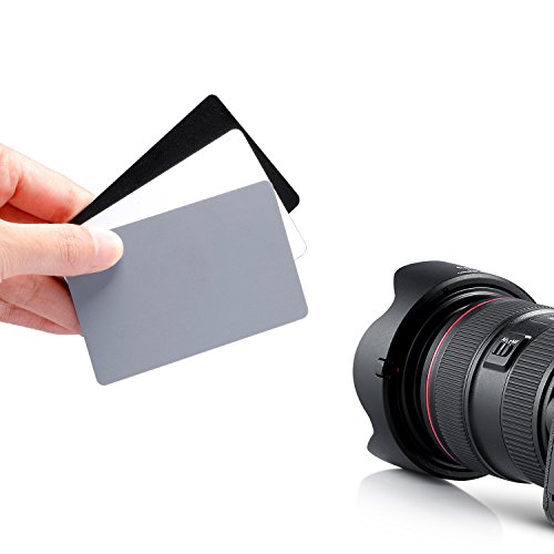 Neewer Digital Grey Card Set - 4" x 5" White Balance Card 18% Gray Card for Digital and Film Photography with Premium Lanyard