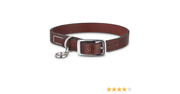 petco rolled leather collar