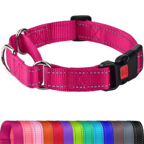 Joytale Martingale Dog Collar