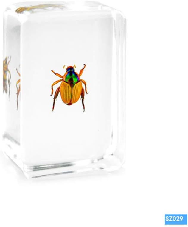WEIUR Real Golden Armor Bright Scarab Mole Cricket Insect Specimen Paperweight Resin Taxidermy Biological Science Education
