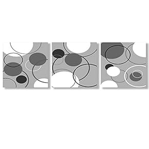 Canvas Wall Art Black and White Abstract Flowers Painting Artwork for Home Prints Framed - 12"x12"x3 Panels