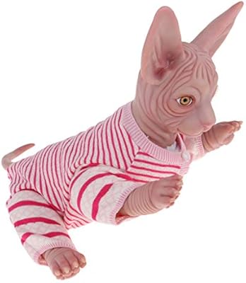 reborn sphynx cat