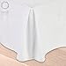 Nestl White Bed Skirt Queen Size - 14 Inch Drop Brushed Microfiber Skirts Hotel Quality Pleated Shrinkage & Fade Resistant