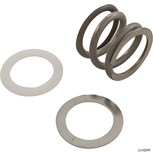 Spring Kit, Astral, Multiport Valve SM, 1-1/2, w/Washers