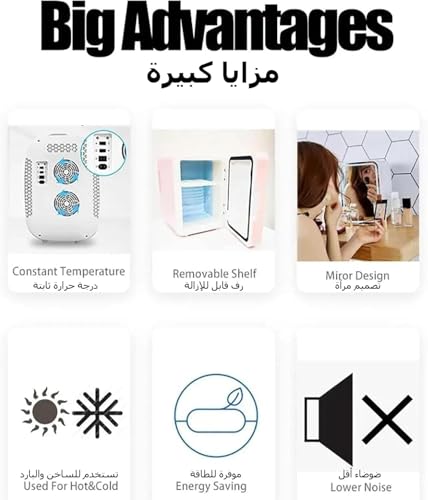 NIUB Mini Fridge 12L for Bedroom, Skincare Fridge, Mirrored Door with Dimmable LED Light, Thermoelectric Cooler and Warmer Compact Refrigerators for Makeup, Food, Office and Car (12L)