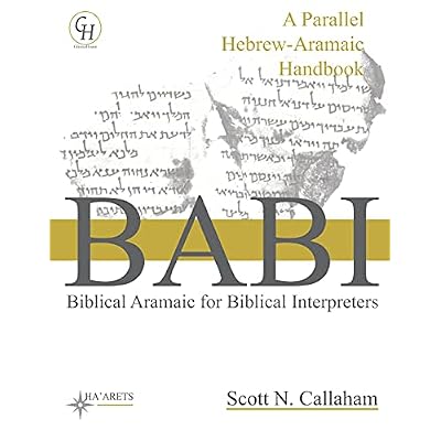 Biblical Aramaic for Biblical Interpreters: A Parallel Hebrew-Aramaic Handbook HEBREW &amp;amp; ARAMAIC ACCESSIBLE RESOURCES FOR EXEGETICAL AND THEOLOGICAL STUDIES Paperback &ndash; August 10, 2021