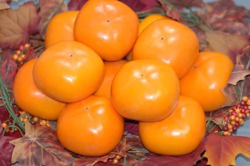 Amazon 低農薬 和歌山 種なし柿 約4kg 15個前後 良品 たねなし柿 種無し柿 平核無柿 刀根柿 Sss はちまるはち 柿 通販