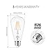LVWIT ST21 LED Filament Bulb 5W(40 Watt Equivalent) Dimmable 2700K Warm White Vintage Edison Light Bulb E26 Medium Base (6-Pack) (5W-Warm White)