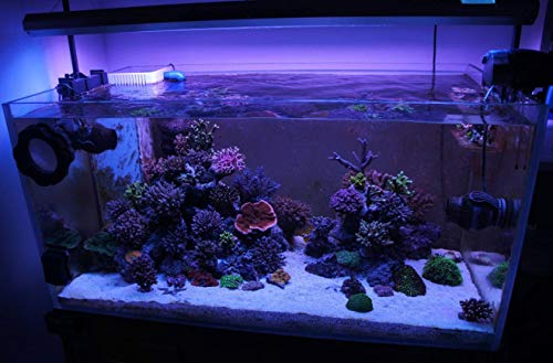 Zeiger Eco 36" Full Spectrum Multi-Color 129 LED Aquarium Light for 36-48 inches 90cm-120cm Freshwater Saltwater Fish Tank Lamp for Plant Reptile - Thumbnail 7