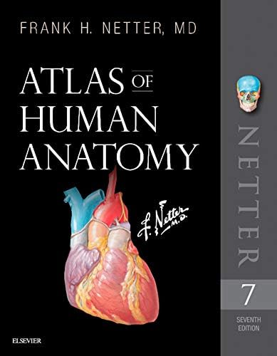 Amazon.com: Atlas of Human Anatomy: Latin Terminology E-Book