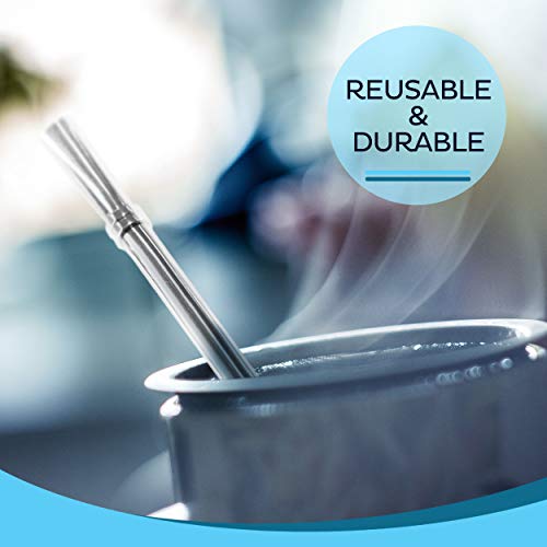 Yerba Mate Bombilla Straw Set of 2 with Cleaning Brush | Reusable Stainless Steel Straws | Bombilla Set for Mate Gourd/Cup | Premium Quality