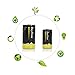 RayHom D Batteries Rechargeable 10,000mAh Ni-MH High Capacity Battery (12 Pack)