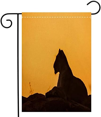 BEIVIVI Custom Double Sided Seasonal Garden Flag African Lion in Kruger National Park South Africa Garden Flag Waterproof for Party Holiday Home Garden Decor, Linen 12 x 18 inch