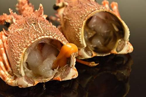 Amazon 南アフリカ産 伊勢海老 の ヘッド 頭部 ロブスター 14kg 約0ｇ 70個前後 業務用 冷凍 Yayoi Good Food エビ 通販