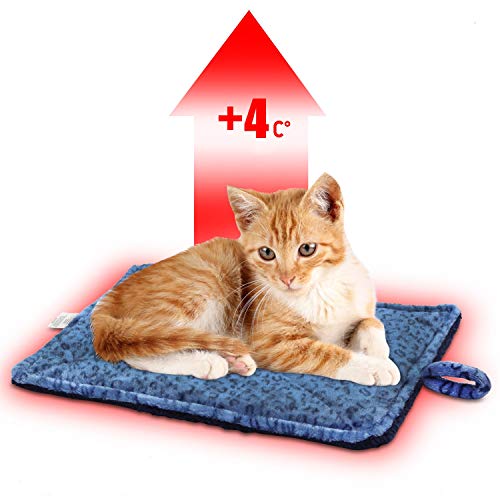 Best Blankets For Cats Cat Meme Stock Pictures And Photos best-blankets-for-cats-cat-meme-stock-pictures-and-photos