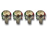 4 PUNISHER MEXICO 2