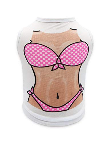 swimsuit for small dogs