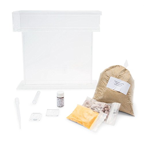 AntHouse - Natural Sand Ant Farm | Acrylic T Big Kit 9.84x7.87x0.59 in
