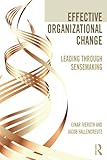 Effective Organizational Change: Leading Through Sensemaking
