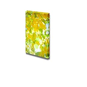 Canvas Prints Wall Art - Yellow Autumn Leaves on The Tree with Sunlight | Modern Wall Decor/Home Decoration Stretched Gallery Canvas Wrap Giclee Print & Ready to Hang - 18" x 12"