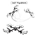 DROCON Cyclone X708 Drone for Beginners Kids Training Quadcopter with Headless Mode One Key Return Easy Control (X708)
