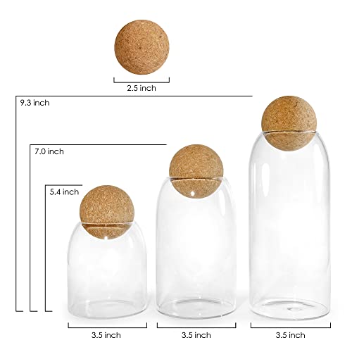 Glass Storage Jars with Cork Lid Ball 3 Pack, Clear Canisters with Air Tight Wood Cork Lid