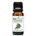 BioFinest Fir Needle Oil - 100% Pure Fir Needle Essential Oil - Calm Mind, Reduce Fatigue, Ache, Arthritis - Premium Quality - Therapeutic Grade - Best For Aromatherapy - FREE E-Book (10ml)